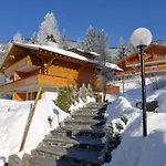 Aiguilles Dorees Iii-2 By Interhome * Villars-sur-Ollon