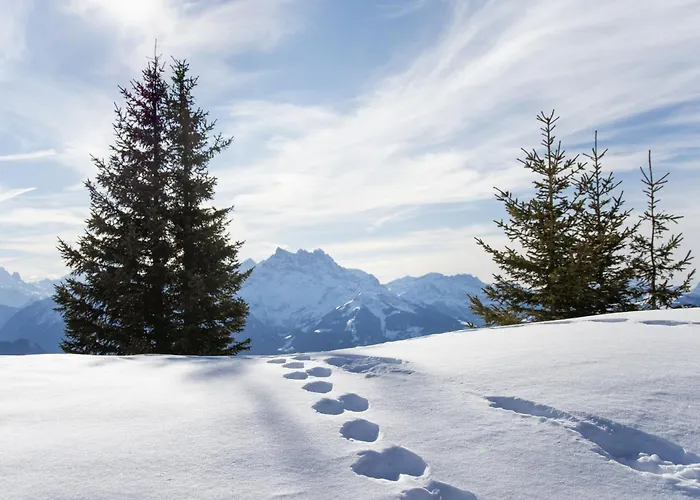 Aiguilles Dorees Iii-2 By Interhome *