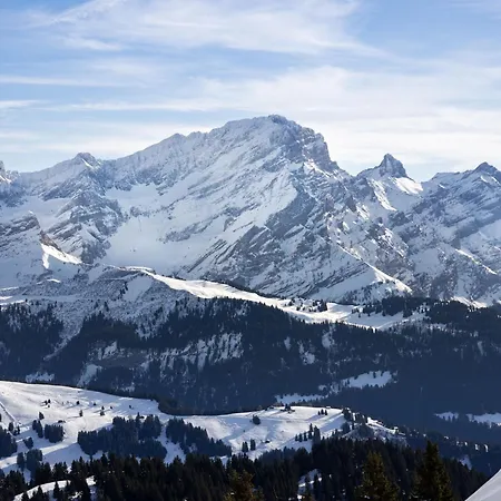 Aiguilles Dorees Iii-2 By Interhome Villars-sur-Ollon